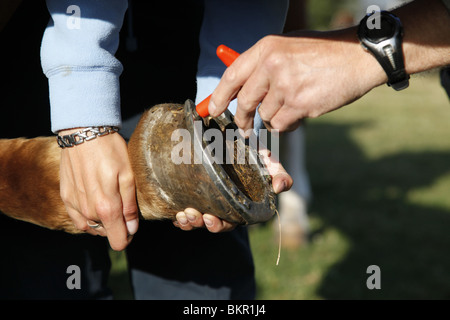 Schraubstollen Anbringen / stud Stockfoto