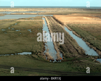 Cley Marshes, North Norfolk Norfolk Wildlife Trust reservieren, UK, März 2010 Stockfoto