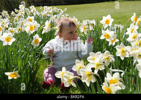 Kleinkind in Blumen Stockfoto