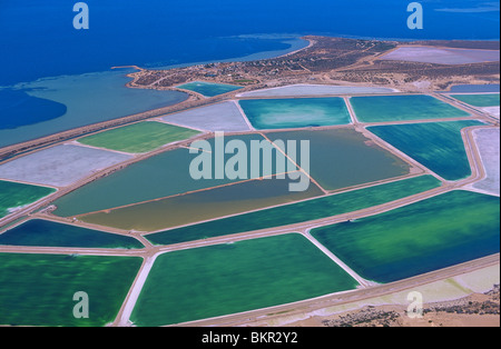 West - Shark Bay Stockfoto