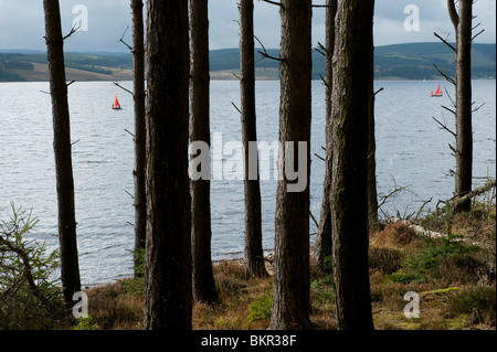 Bootfahren auf Kielder Wasser, Northumberland, England. Stockfoto