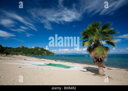 Malawi, Monkey Bay. Fischernetze trocknen in der Sonne am Strand des Lake Malawi. Stockfoto