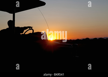 Malawi, obere Shire-Tal, Liwonde Nationalpark. Bei Sonnenuntergang zeigt ein Reiseleiter aus einem schattigen Safari-Fahrzeug. Stockfoto