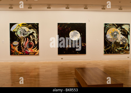 Landschaft Bilder, Wildnis Ausstellung, Art Gallery of New South Wales, Sydney, Australien Stockfoto