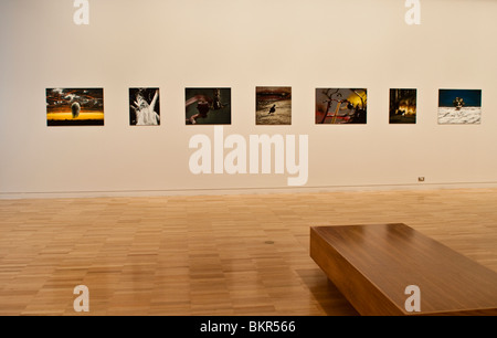 Landschaft Bilder, Wildnis Ausstellung, Art Gallery of New South Wales, Sydney, Australien Stockfoto