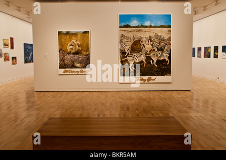 Landschaft Bilder, Wildnis Ausstellung, Art Gallery of New South Wales, Sydney, Australien Stockfoto