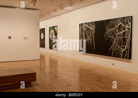 Landschaft Bilder, Wildnis Ausstellung, Art Gallery of New South Wales, Sydney, Australien Stockfoto