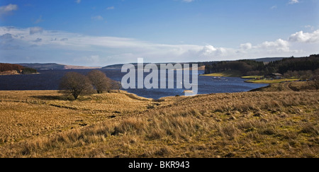 Kielder Wasserreservoir zum Dam von der Straße mit Leaplish Wasser Park rechts Stockfoto