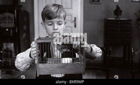 DAS WEIBE BAND (2009) DAS WEIßE BAND (DIR) 001 Stockfoto