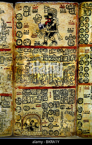 Codex Tro-Cortesianus Maya Kodizes Pre Columbian Maya-Zivilisation in Maya-Hieroglyphen 1250 1500 n. Chr. geschrieben Stockfoto