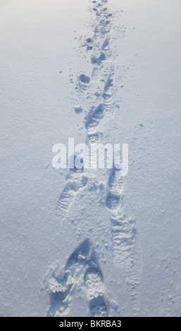 Schuhdrucke auf Schnee, Finnland Stockfoto