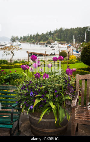 Roche Harbor ist seit langem ein beliebtes Reiseziel für viele Reisende, die das Beste aus den San Juan Islands zu erkunden. Stockfoto