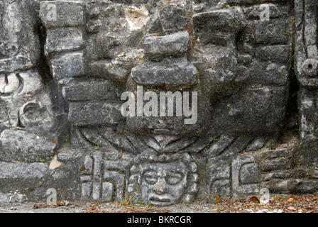 Relief im Caracol Ruinen, Maya Mountains, Cayo District, Belize, Mittelamerika Stockfoto