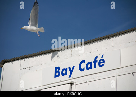 Möwe fliegt vom Dach der Bay Cafe, Bigbury, Devon, UK Stockfoto