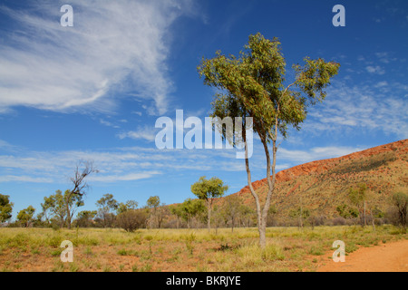 Blauer Himmel über den West MacDonnell-Bereich in der Nähe von Alice Springs, Alice Springs Stockfoto