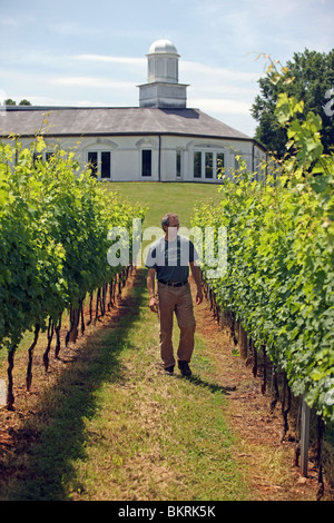 Barboursville Weingut mit Besitzer Luca Puschina in Barboursville befindet sich in Orange County, Virginia. Stockfoto