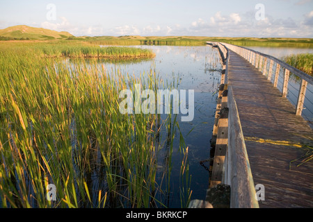 Promenade zu den Sanddünen von Greenwich Stockfoto