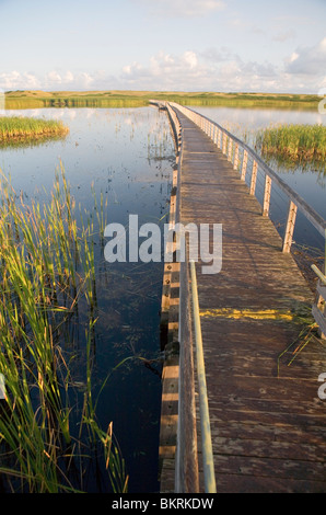 Promenade zu den Sanddünen von Greenwich Stockfoto