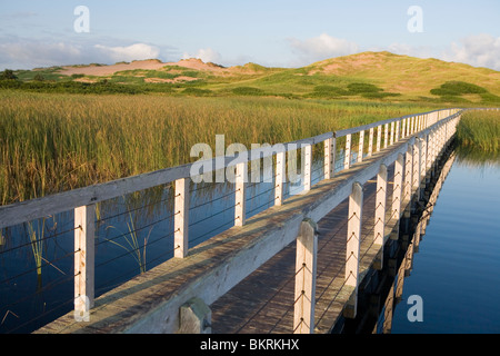 Promenade zu den Sanddünen von Greenwich Stockfoto