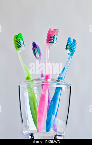 Vier verschiedene farbige Zahnbürsten in Familie Zahnbürstenhalter. Stockfoto