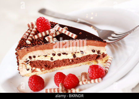 Köstlicher Schokoladenkuchen, garniert mit Früchten und kleinen Schokolade rollt Stockfoto