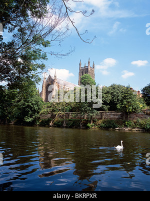 Worcester Kathedrale mit Blick auf den Fluss Severn Stockfoto