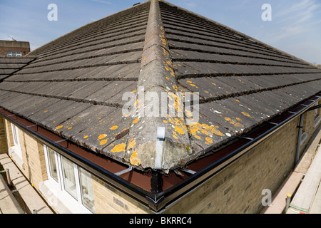 Ecke von Dächern und Dachrinne / Dachrinnen und Dach Ridge Fliesen / Kacheln: Twickenham. VEREINIGTES KÖNIGREICH. Stockfoto