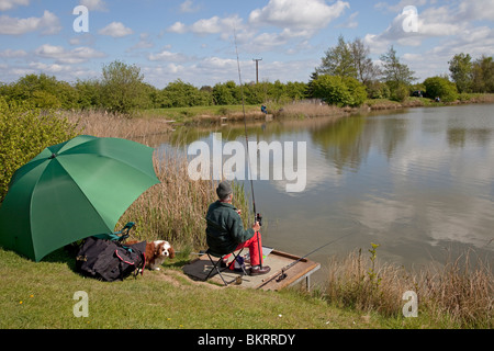 Mann Karpfenangeln im See im Sommer Cambridgeshire UK Stockfoto