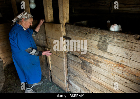 Slowakei, alte Frau Leben in den ländlichen UNESCO-Dorf Vlkolinec Stockfoto