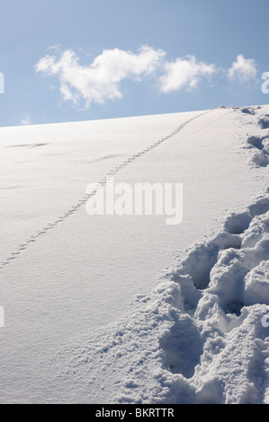 Winter-Szene, Fußspuren im Schnee, hill, Wolke, Fužine, Gorski Kotar, Kroatien, Europa Stockfoto