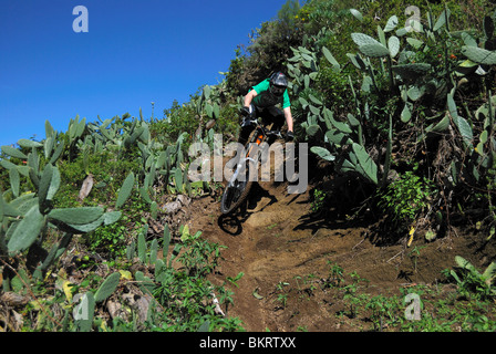 Ein downhill Mountainbiker reitet auf einer staubigen Kakteen gesäumt auf der spanischen Insel Teneriffa. Stockfoto