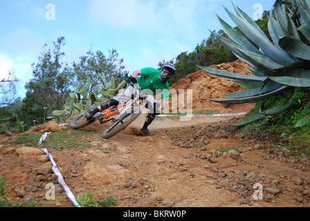 Ein Mountainbiker reitet auf einem staubigen Kakteen Track auf der spanischen Insel Teneriffa gesäumt. Stockfoto