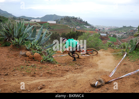 Ein downhill Mountainbiker reitet auf einer staubigen Kakteen gesäumt auf der spanischen Insel Teneriffa. Stockfoto