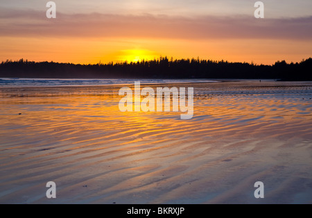 Long Beach Tofino Vancouve Insel BC Stockfoto