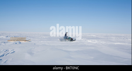 algid Amerika Tierfell Tierhaut Tier Skinj Animalfur Antarktis Antarktis Antarktis Arktis arktischen Bereich Blizard luftigen Cana Stockfoto