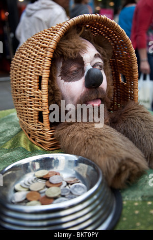 Straßenkünstler gekleidet wie ein Hund in einem Korb in Covent Garden in London. Diese Gegend ist sehr beliebt für den Tourismus. Stockfoto