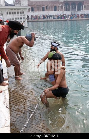 Sikhs Anhänger unter das rituelle Bad im Heiligen Pool. Der Goldene Tempel. Amritsar. Punjab. Indien Stockfoto