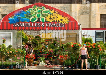 Blumenladen Atwater Market Montreal Kanada Stockfoto