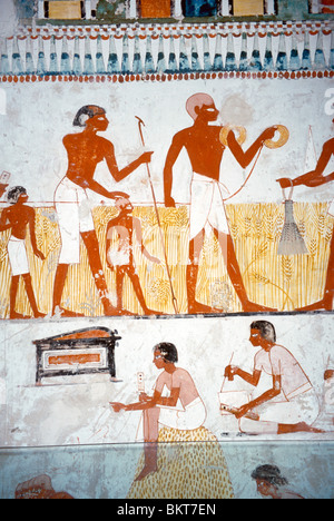 Luxor Ägypten Tal der Adligen Thebangräber 69 (TT69) Grab von Menna ein Grab von Scribe, der der Hüter der Felder des Amun-Re Grabbilds war Stockfoto