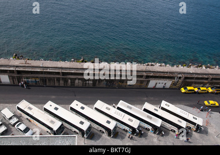 Trainer im Hafen von Funchal, Madeira warten auf Touristen Ausflüge nehmen aufgereiht. Stockfoto