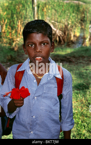 Kerala Indien Kerala Backwaters Boy In Schuluniform, die eine rote Blume Stockfoto