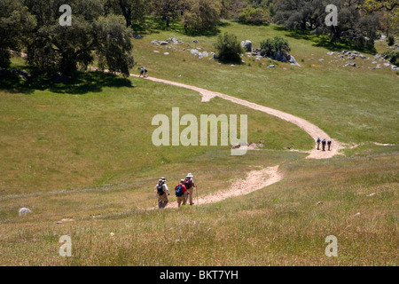 Wanderer auf Trail am Santa Ysabel Freiraum bewahren West, San Diego County, Kalifornien Stockfoto