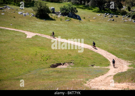 Mountainbiker auf Trail, Santa Ysabel Open Space zu bewahren West, San Diego County, Kalifornien Stockfoto