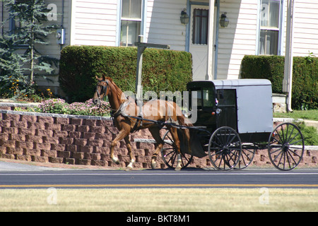 Eine amische Buggy im Lancaster County, PA Stockfoto