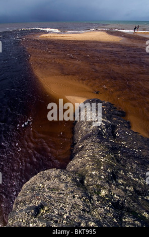 Dunkel Tannin gebeizte Fluß über den Sandstrand Bramston, North Queensland, Australien Stockfoto