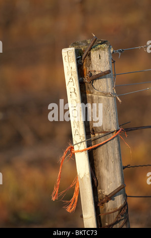 Eine einfache Hand machte Zeichen markiert den Start der Trauben verwendet werden, bei der Herstellung von Chardonnay Wein in der Niagara-Weinbau-Region. Stockfoto