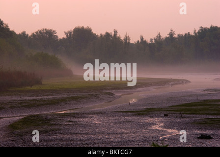 Natuurontwikkeling in Klein Profijt; Naturentwicklung in Klein Profijt Stockfoto