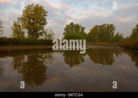 Natuurontwikkeling in Klein Profijt; Naturentwicklung in Klein Profijt Stockfoto