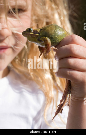 Meisje traf Schlittschuhläufer Kikker; Mädchen mit Grasfrosch Stockfoto