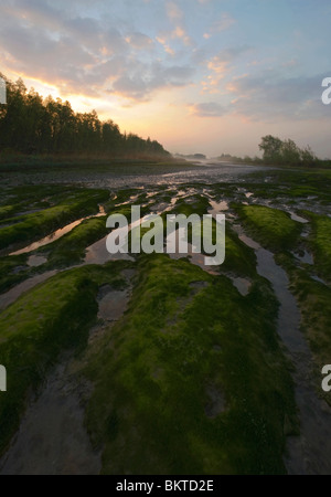 Natuurontwikkeling in Klein Profijt Bij Zonsopkomst; Naturentwicklung in Klein Profijt bei Sonnenaufgang Stockfoto